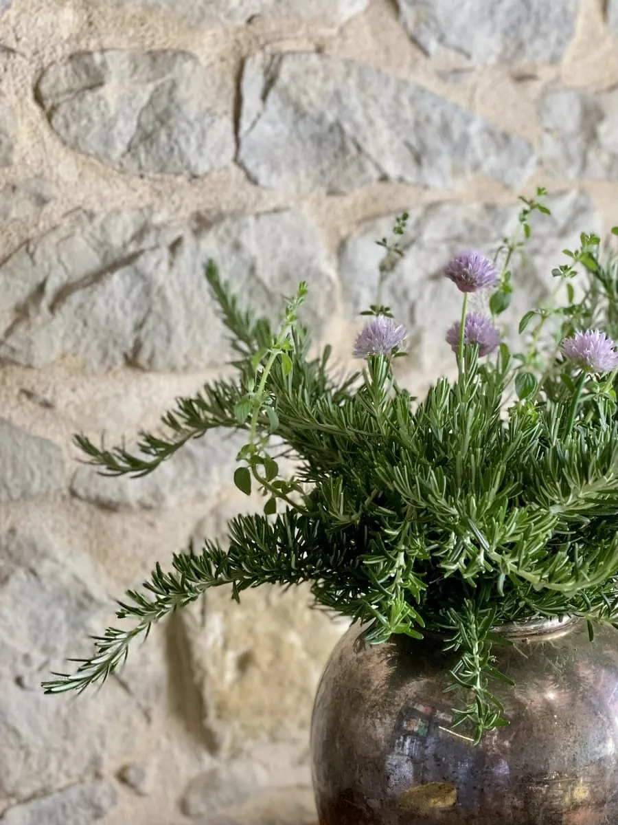 AcquaPhi — vitalisiertes Wasser in der casa rossa 4A
